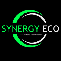 Synergy Eco Ltd